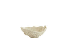 Ornament 25x23x11 cm CORAL cream