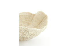Ornament 25x23x11 cm CORAL cream