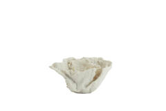 Ornament 23x16x13 cm CORAL crème