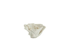 Ornament 23x16x13 cm CORAL crème