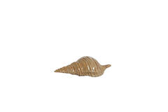 Ornament 23x9,5x7,5 cm SHELL ceramics brown