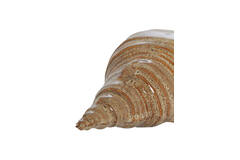 Ornament 27,5x12,5x9 cm SHELL keramiek bruin
