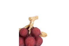 Ornament 16,5x11x11,5 cm JAGODY bordeaux+antiek brons