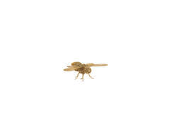 Ornament 24x14,5x5,5 cm CICADA gold