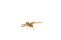 Ornament 29x26,5x6 cm CICADA gold