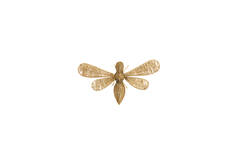 Ornament 29x26,5x6 cm CICADA gold