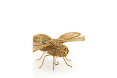 Ornament 29x26,5x6 cm CICADA gold
