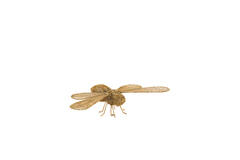 Ornament 37,5x18x6,5 cm CICADA gold
