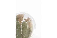 Ornament Ø8x8 cm YVEN glass sand+green
