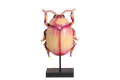 Ornament on base 22x12x42 cm BEETLE light pink+black