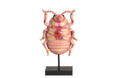 Ornament on base 22x12x42 cm BEETLE light pink+black
