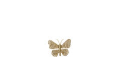Wall ornament 25x19x6 cm BUTTERFLY gold