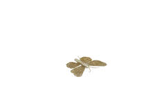 Wall ornament 25x19x6 cm BUTTERFLY gold