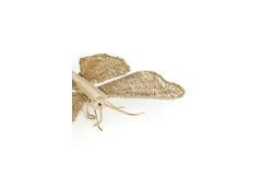 Wall ornament 25x19x6 cm BUTTERFLY gold