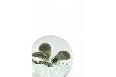 Ornament Ø8x8 cm BUTTERFLY glass black