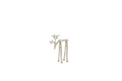 Ornament 15x6x20 cm DEER nickel