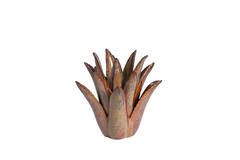 Tealight Ø21x21 cm CACTUS ceramics brown-grey
