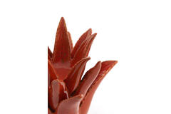 Tealight Ø21x21 cm CACTUS ceramics orange