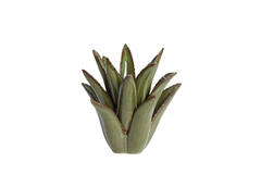 Theelicht Ø24,5x23 cm CACTUS keramiek donker groen
