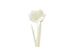 Tealight on base Ø12x35 cm ALFORI cream