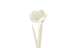 Tealight on base Ø12x41 cm ALFORI cream