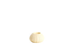 Tealight holder Ø9x6 cm SEA URCHIN cream