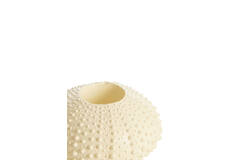 Tealight holder Ø12x7 cm SEA URCHIN cream