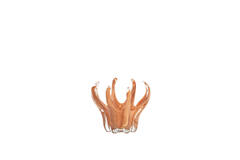 Hurricane Ø17x14 cm TEYA glass caramel